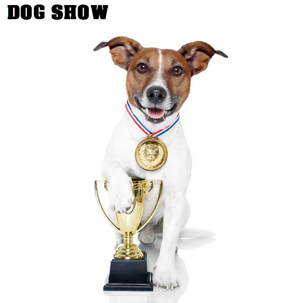 RissiFest 2025 - Dog Show